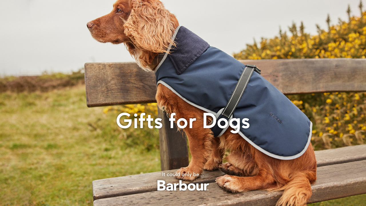 Gifts for Dogs