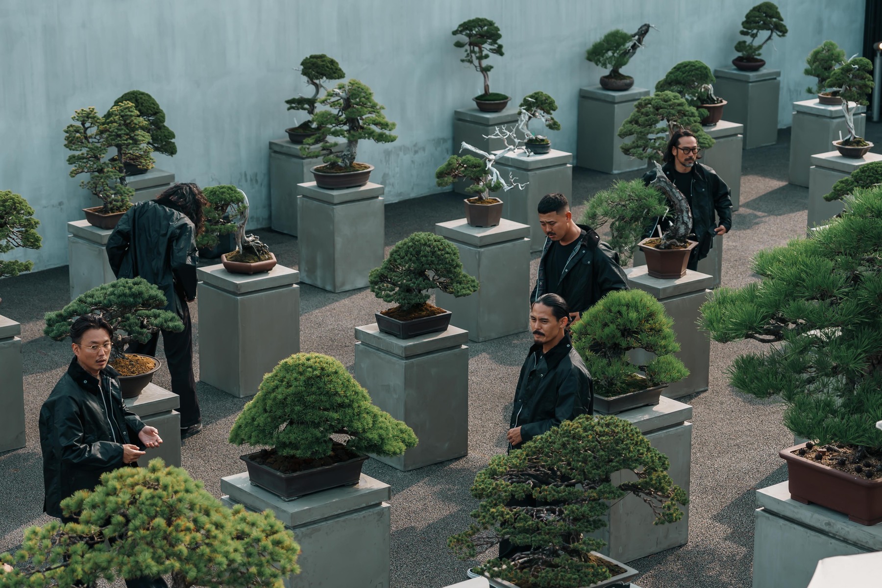 盆栽とTRADMAN’S BONSAIメンバー