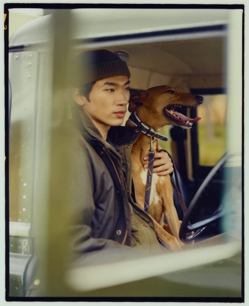 車の中で犬を抱えている画像