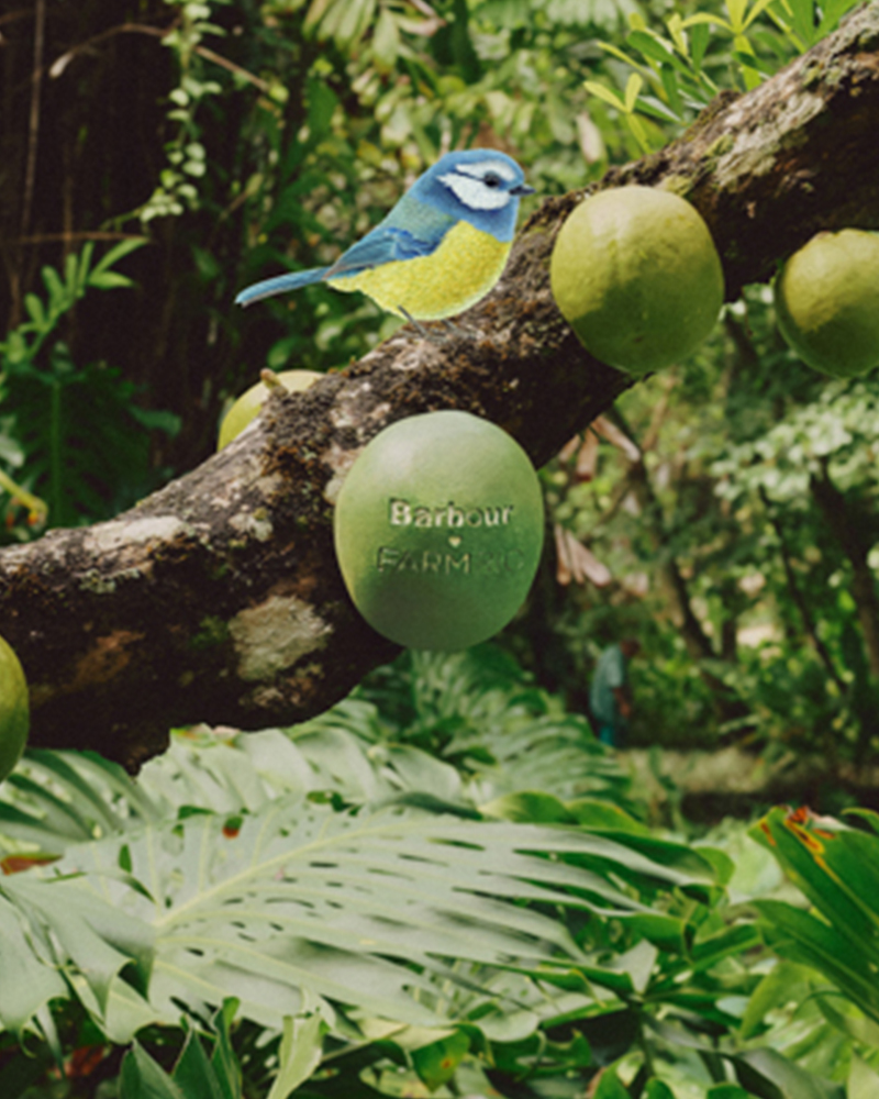 木の上に留まる青い小鳥と、ブランドロゴが刻印された果実を写したコラージュ画像。