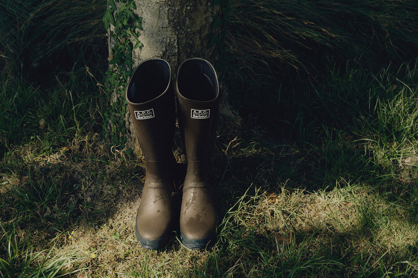 Tall Welly を履いたルック